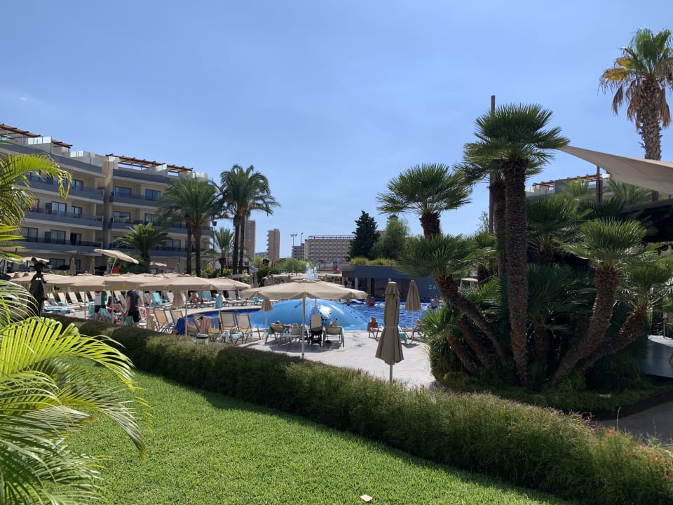 Pool Zafiro Palmanova