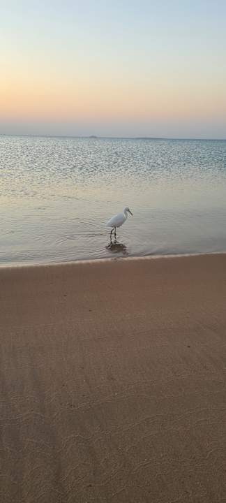 Strand Sentido Caribbean World Soma Bay