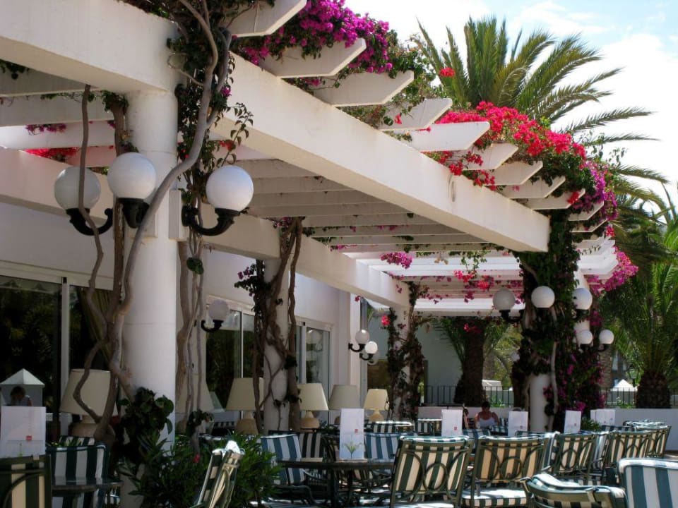 Terrassen-Ansicht  Hotel Riu Palace Maspalomas Adults Only