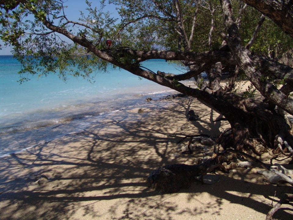 Blick zum Meer NusaBay Menjangan
