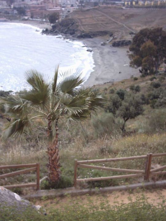 Strandblick Playacálida Hotel