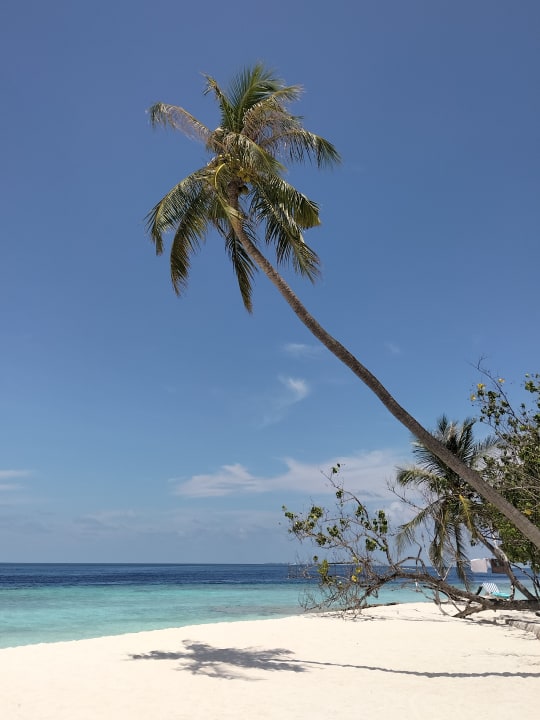 Strand Embudu Village