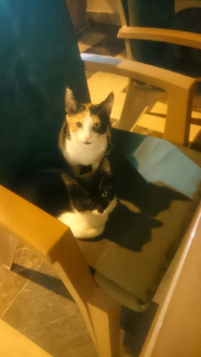 Sonstiges Nerton Hotel - Erwachsenenhotel ab 16 Jahren