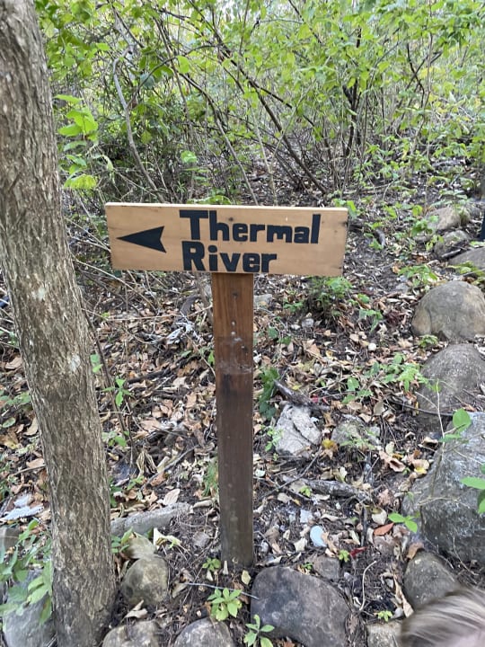 Gartenanlage Hotel Rio Perdido