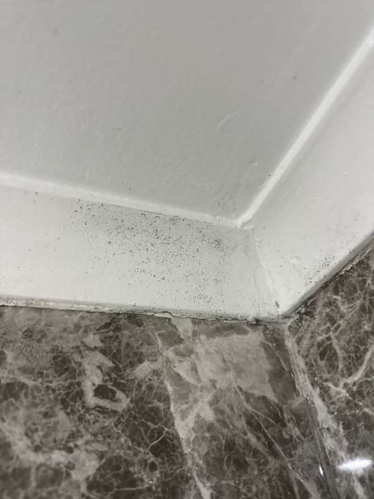 Zimmer Club Hotel Phaselis Rose