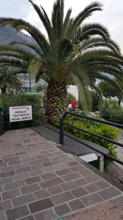Gartenanlage Hotel Caravel