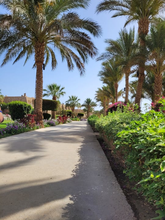 Gartenanlage Brayka Bay Resort