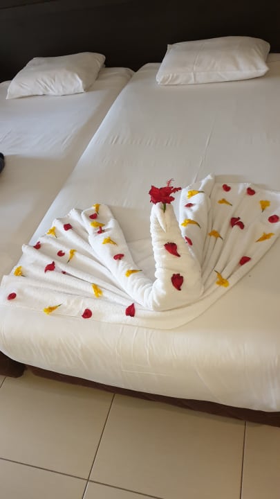 Zimmer Jaz Dar EL Madina