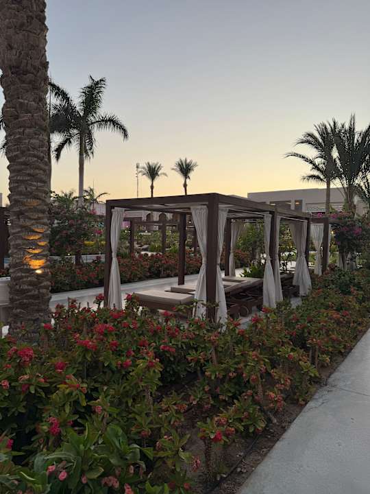 Pool Steigenberger Resort Ras Soma