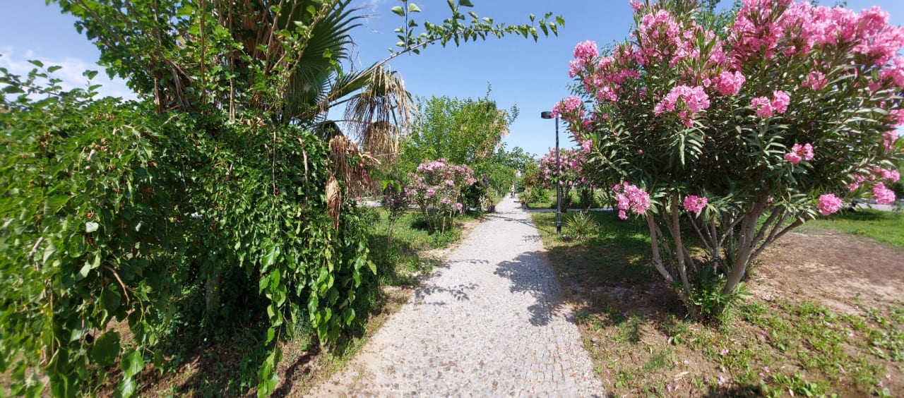 Garten Aydinbey Kings Palace & Spa