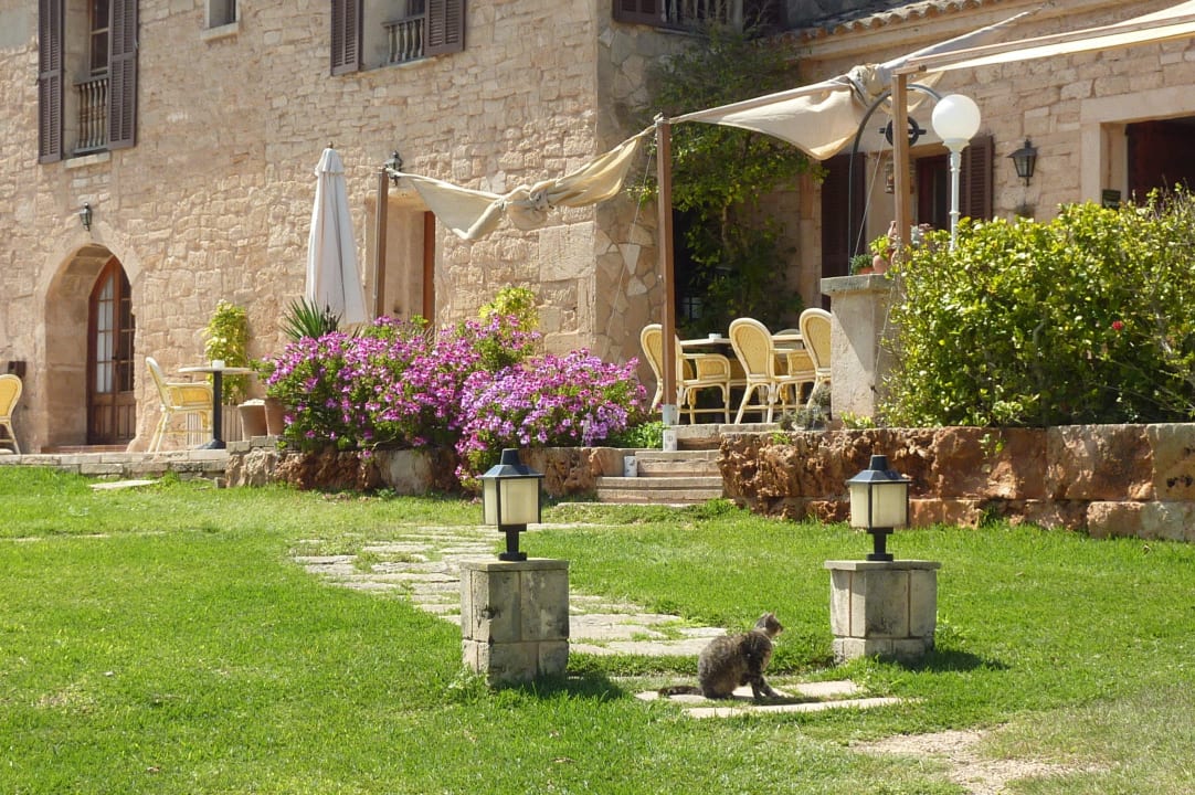 Eingang vom Parkplatz Finca Es Carbó
