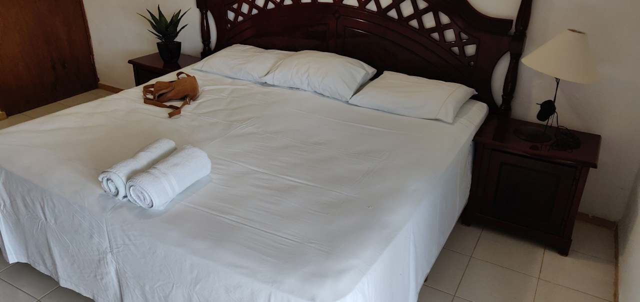 Zimmer La casa de los pájaros