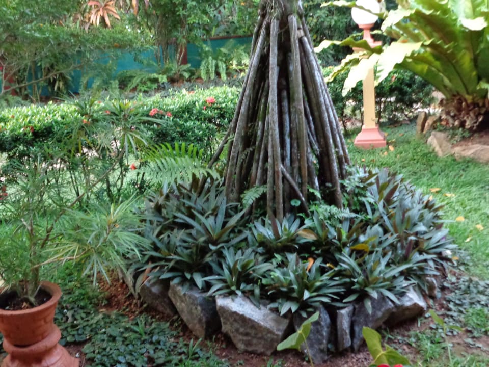 Schön Gel Spring of Life Ayurveda Resort