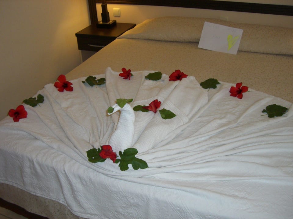 Tolle Zimmerdeko zum Empfang Hotel Orfeus Park