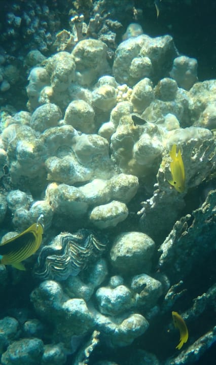 Sport & Freizeit Hotel Gorgonia Beach Resort