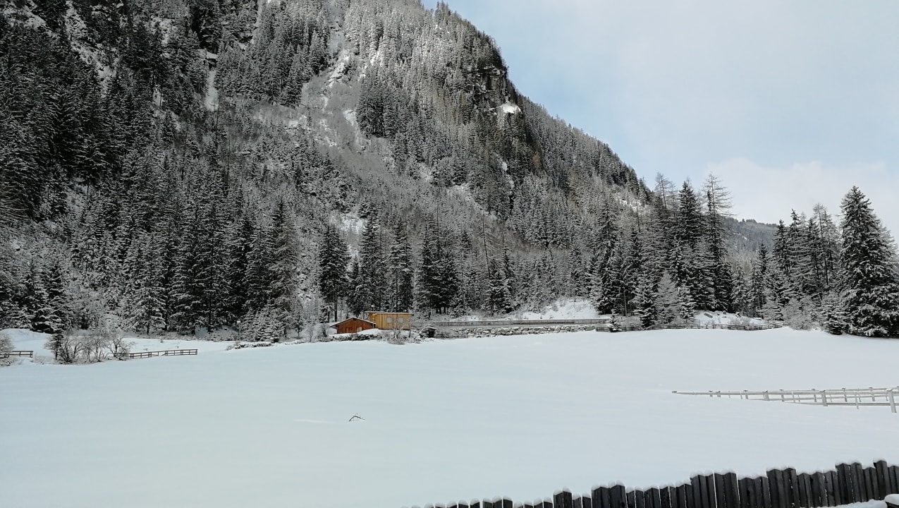 Ausblick Hotel Wiese