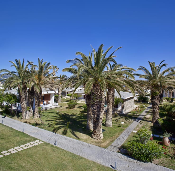 Garden - Palm Trees Civitel Creta Beach