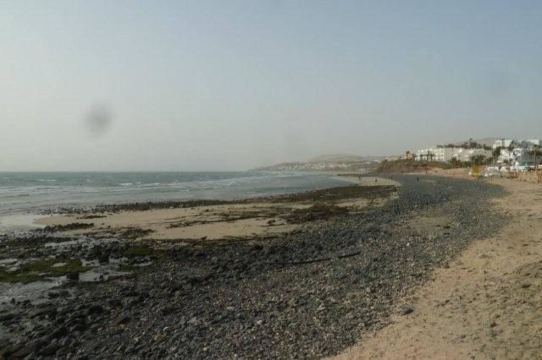 Strand voller Steine nichts für Kinderfüße SBH Costa Calma Beach Resort