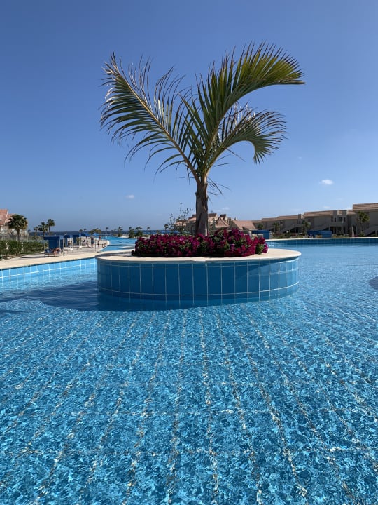 Pool Pickalbatros Sea World Resort - Marsa Alam