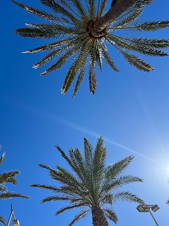 Ausblick Hotel Best Sabinal