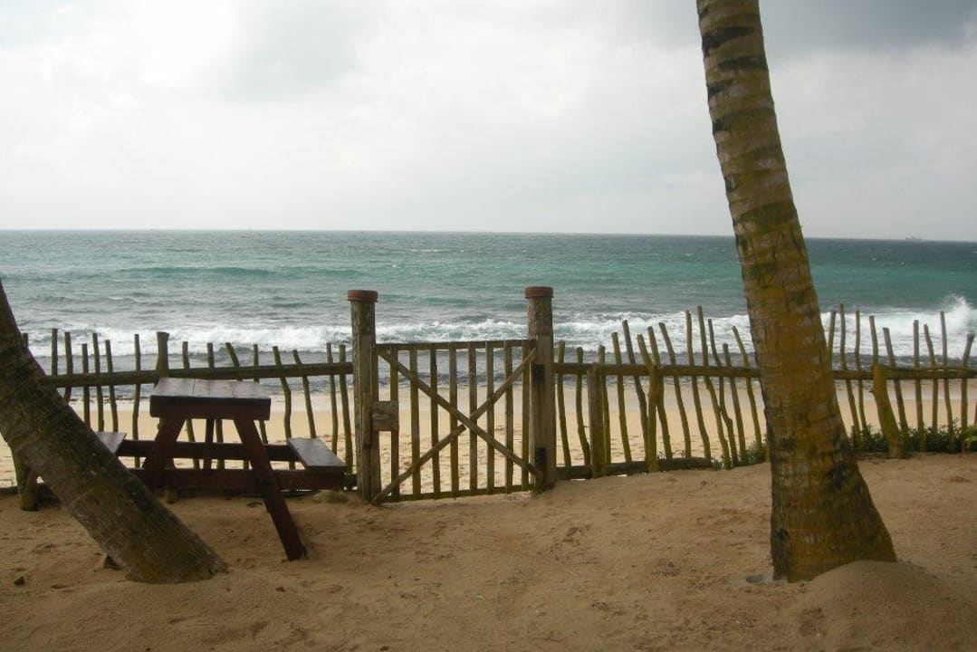 Sleep to the sound of the waves Cabana Sudu Surfing
