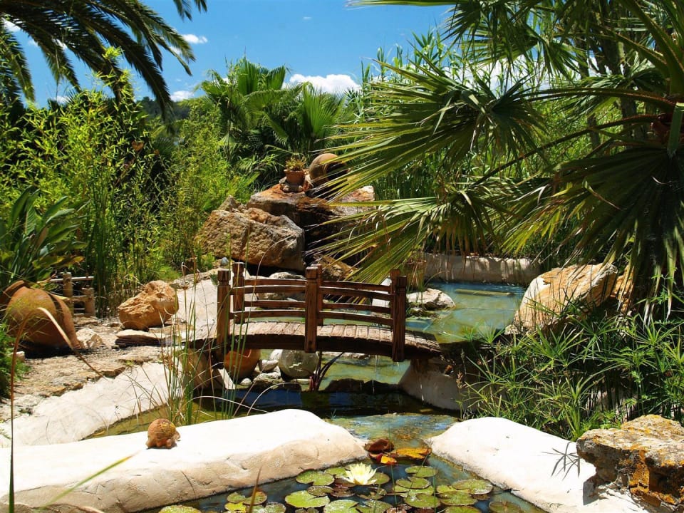 Goldfischteich Finca La Colina