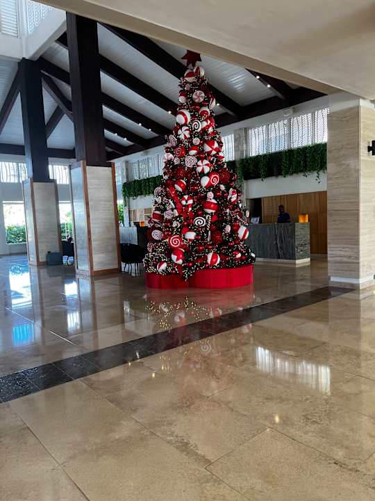 Lobby Secrets La Romana Resort & Spa - Adult Only