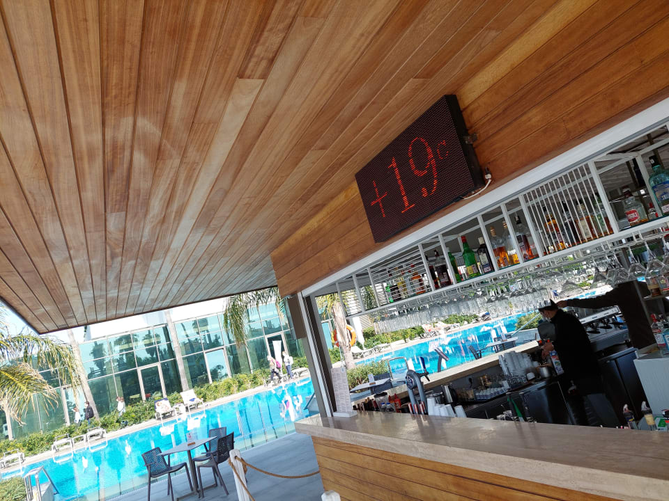 Pool Acanthus Cennet Barut Collection