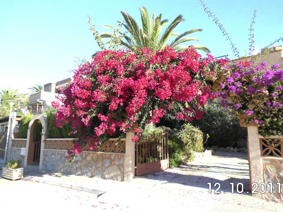 Schönes Farbenspiel Flipflop Cala Romantica