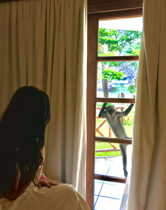 Zimmer Neptune Village Beach Resort & Spa