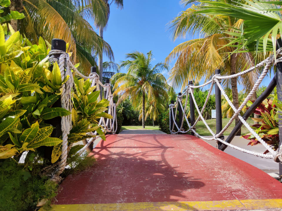 Gartenanlage Royalton Hicacos Resort & Spa - Adults only
