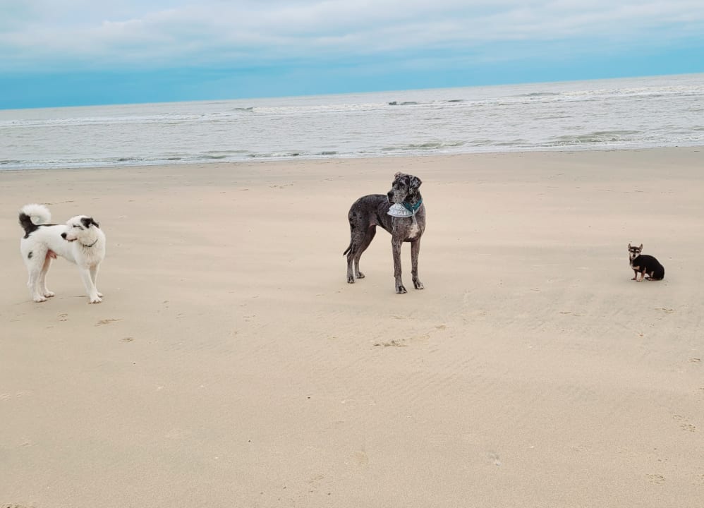 Strand Hotel Noordzee