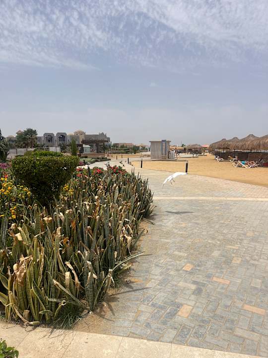 Gartenanlage Lazuli Hotel Marsa Alam