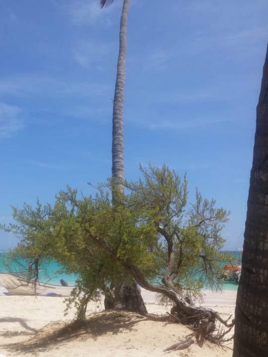 Strand Hotel Grand Palladium Palace Resort, Spa & Casino