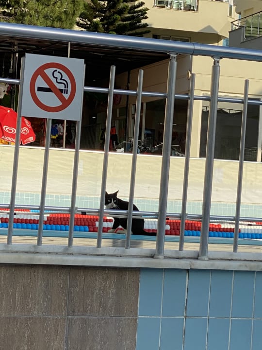 Gartenanlage Dream Family Club