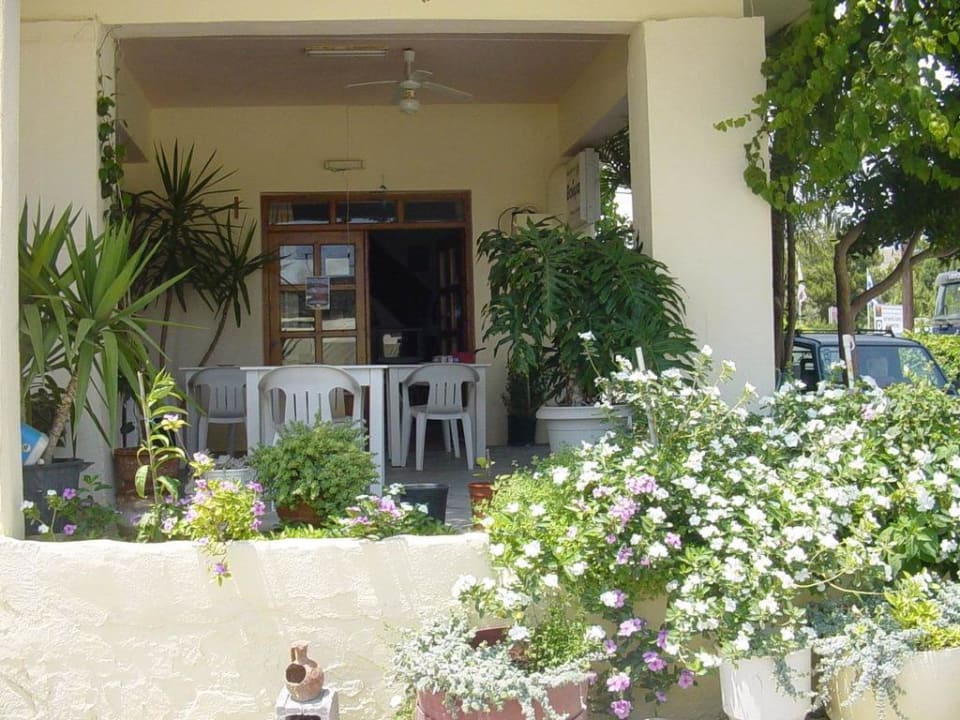 Marias Blumenterrasse Hotel Knossos
