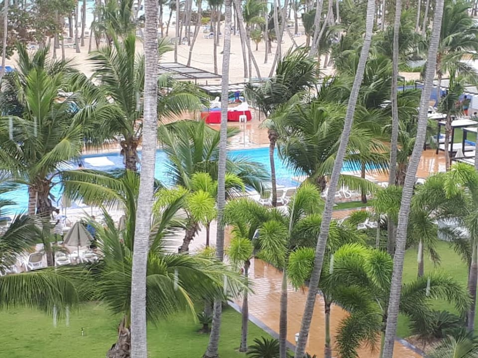 Widok z pokoju Hotel Riu Palace Macao - Adults only