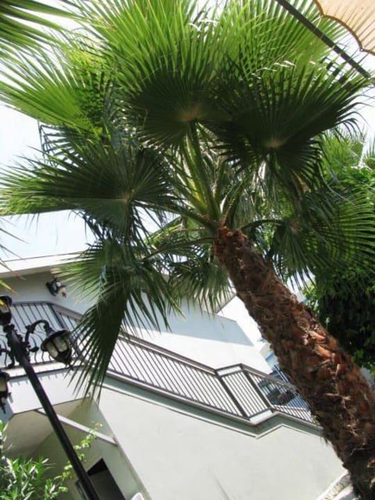 Treppe zum Zimmer Sun Club Hotel