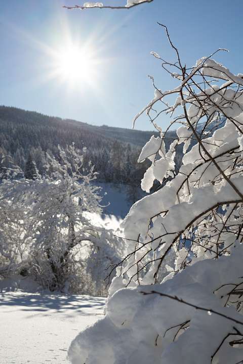 Ausblick Landhaus Holzer / Apartments