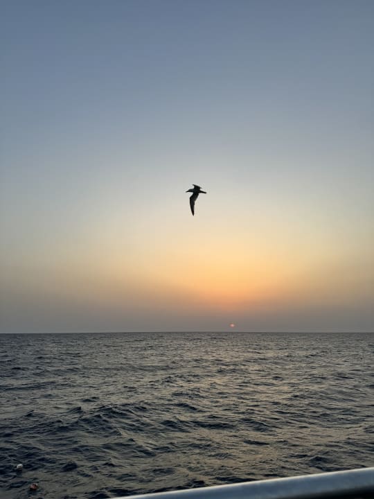 Strand Steigenberger Coraya Beach - Adults only