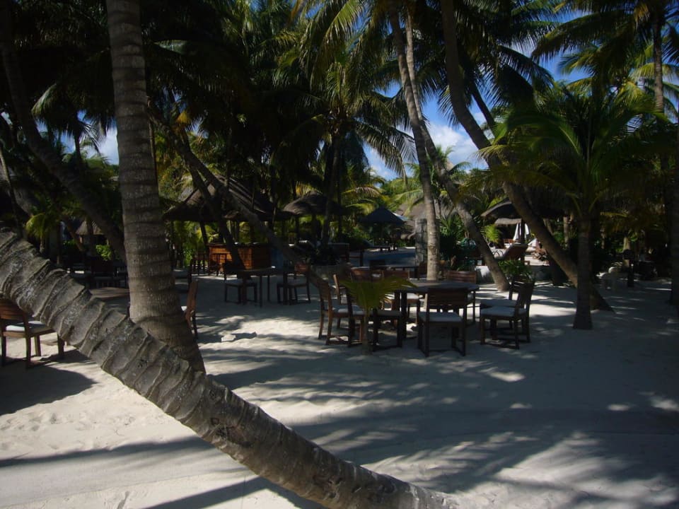 Cooler Drink unter Palmen Hotel Las Palapas