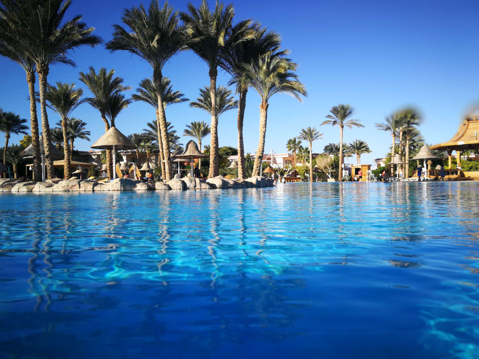 Pool Parrotel Beach Resort