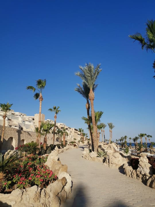 Gartenanlage Pickalbatros Citadel Resort