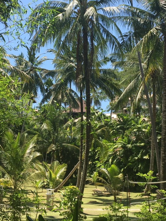 Gartenanlage Cape Panwa Hotel