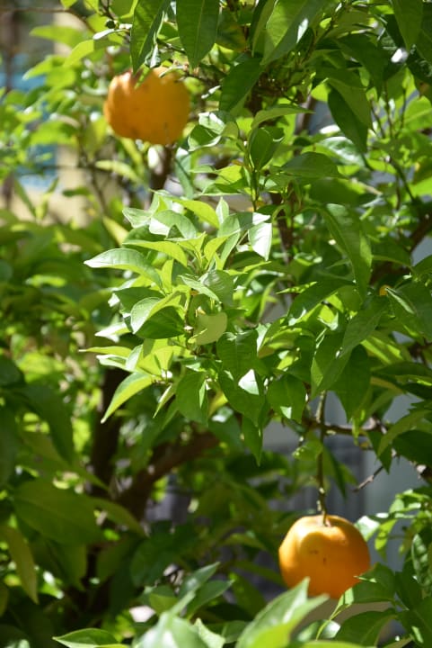 Sonstiges VONRESORT Golden Beach