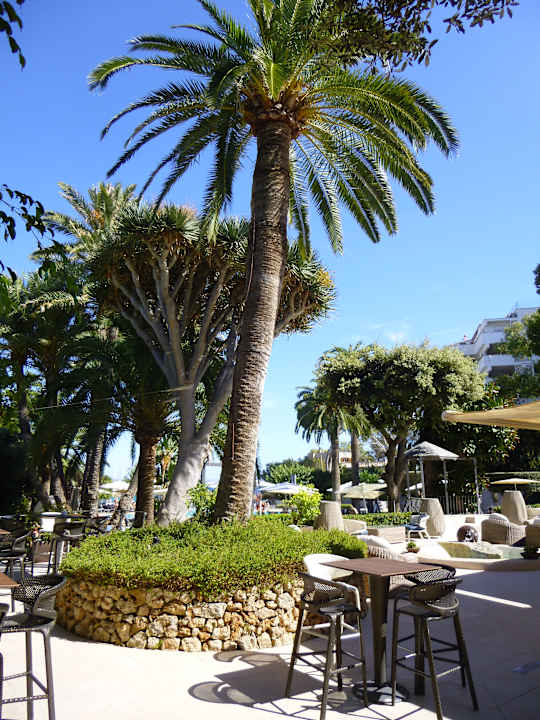 Gartenanlage Hotel Son Caliu Spa Oasis