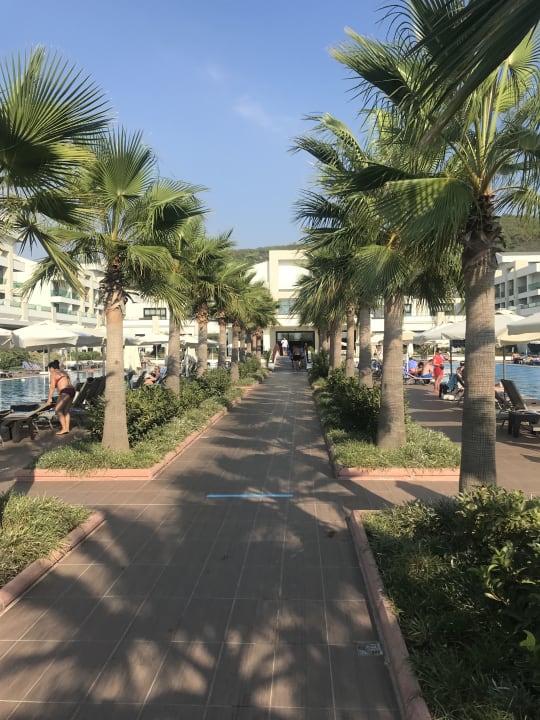 Ausblick Korumar Ephesus Beach & Spa Resort