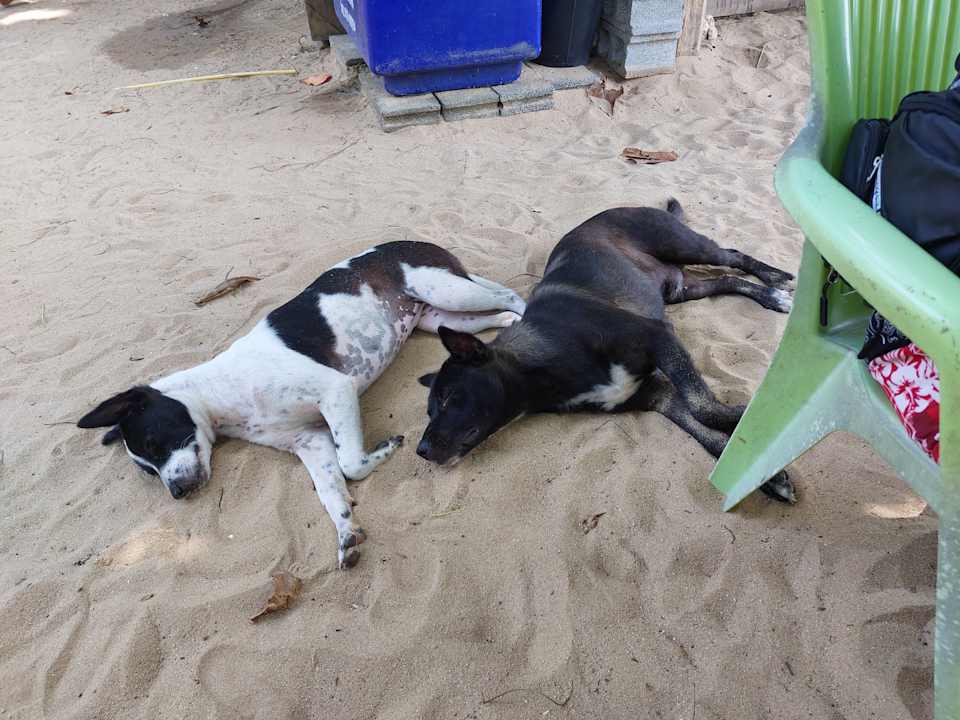 Gastro Khao Lak Merlin Resort