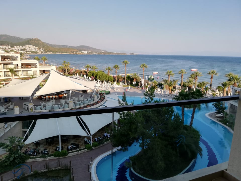 Ausblick Paloma Pasha