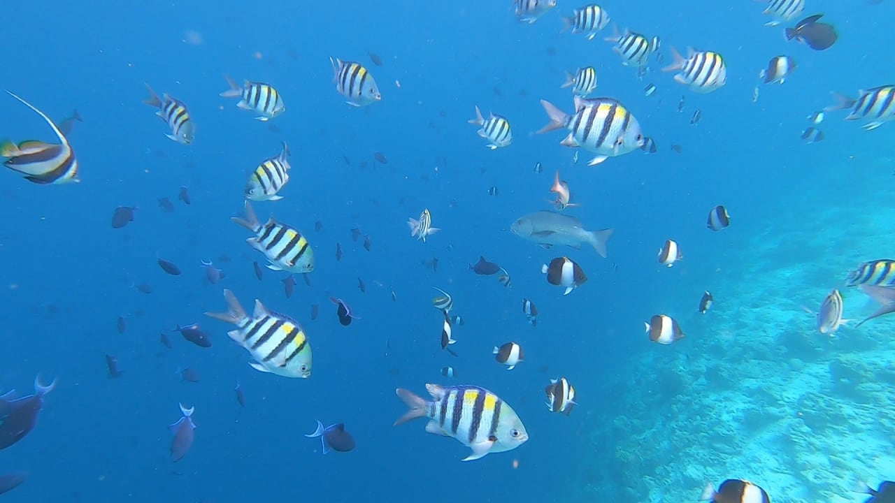 Sport & Freizeit NH Collection Maldives Reethi Resort